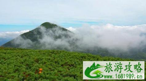 日本青森县旅游季节是什么时候 青森县旅游景点介绍