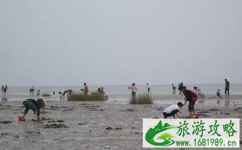 山东哪里赶海好 山东赶海的地方在哪