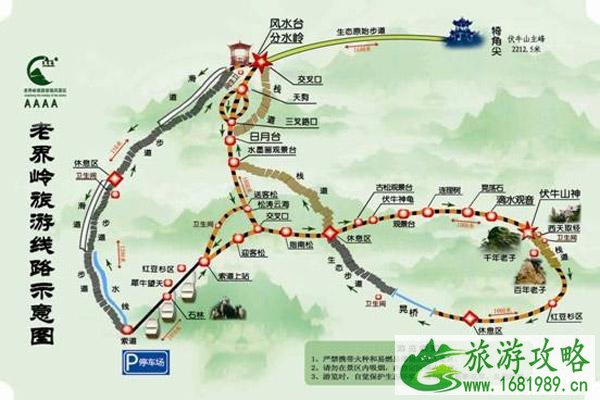 西峡恐龙遗迹园线路图 西峡恐龙遗迹园好玩吗