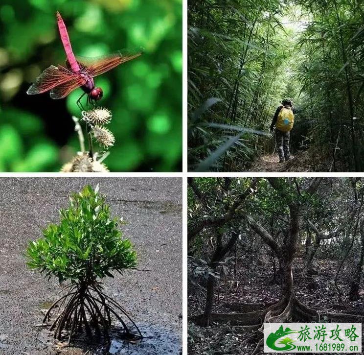 香港岛屿哪个好玩 香港岛屿旅游推荐