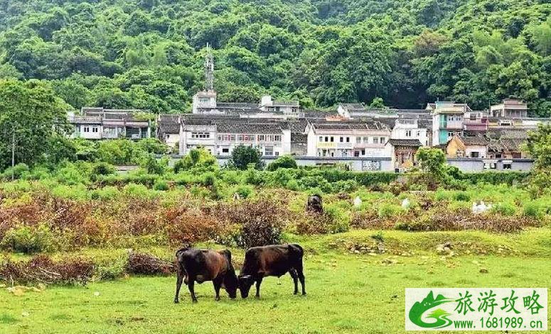 香港岛屿哪个好玩 香港岛屿旅游推荐