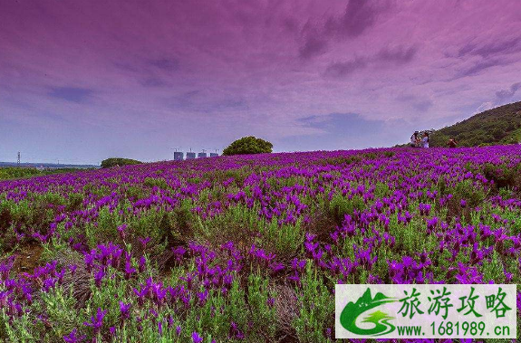 无锡雪浪山要门票吗 无锡雪浪山门票多少钱