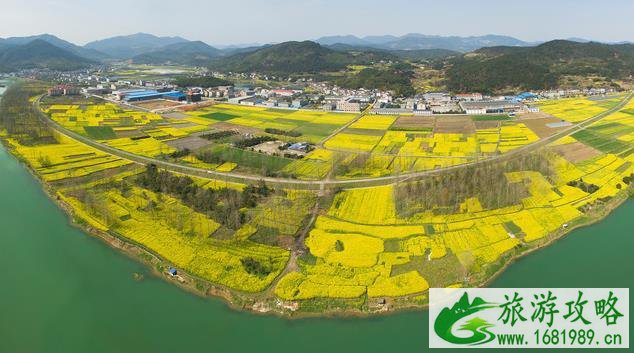 网民最喜欢的旅游目的地名单十大全域旅游目的地