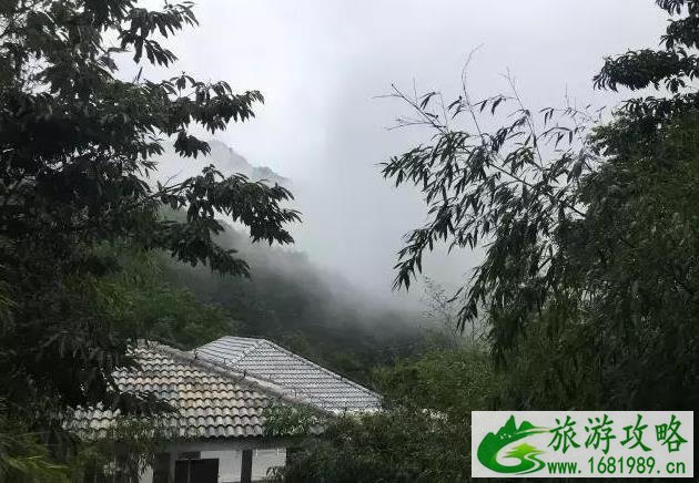 青岛旅游景点推荐 青岛旅游去哪里比较好玩