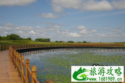 黑瞎子岛在哪 黑瞎子岛为什么要一半