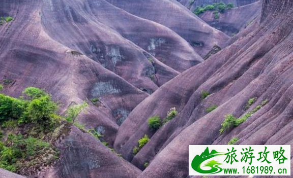 高椅岭的具体位置 高椅岭风景区游玩攻略